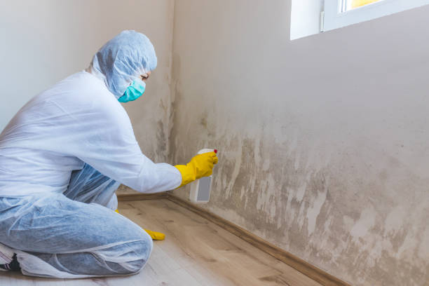 Licensed Commercial Mold Remediation service in LaFayette, GA - WQB Mold Removal