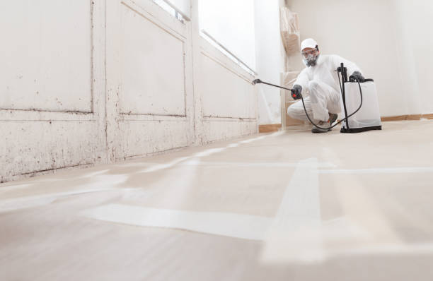 24/7 Emergency Commercial Mold Remediation experts in LaFayette, GA