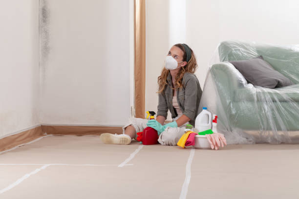 Reliable Commercial Mold Remediation contractor in LaFayette, GA by WQB Mold Removal